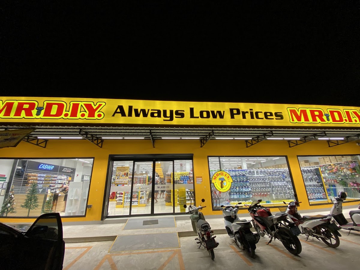MR. D.I.Y.